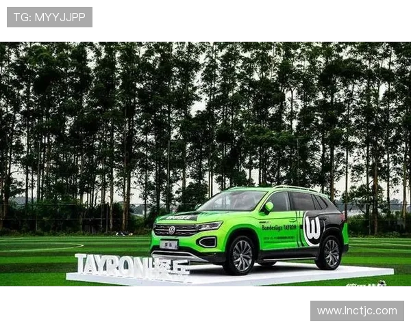 大众汽车在德甲的球队支持与合作情况