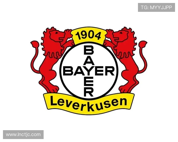 德甲各支球队官方标志及队徽设计解析 德甲各支球队官方标志及队徽设计解析