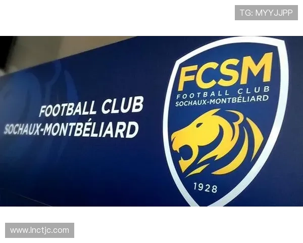 法甲外援薪资结构与经济投入的对比性研究